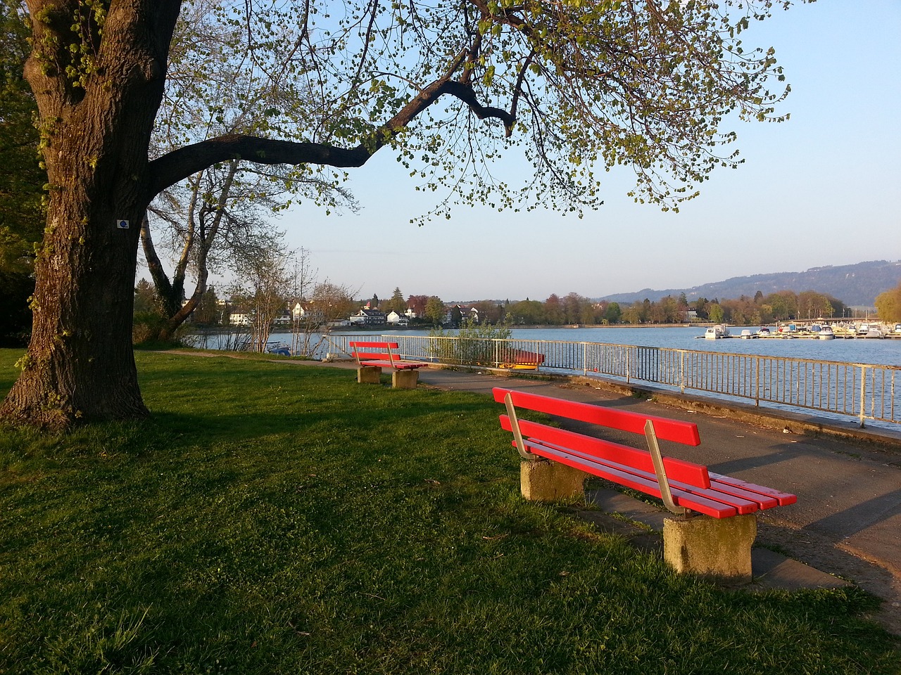 拜进行冬季 拜进行冬季